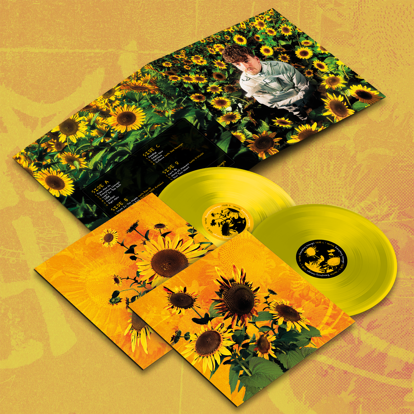 Vertile - Everything Changes LP Vinyl