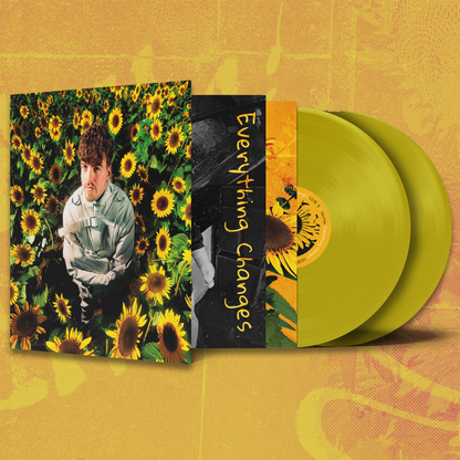 Vertile - Everything Changes LP Vinyl